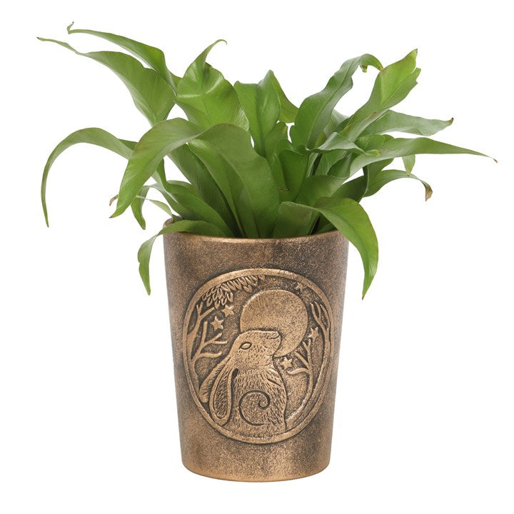 Plant Pots